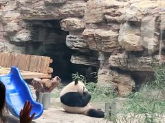 -石家庄市动物园