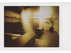 -boundaries籬苑(瑞光创意工厂-贰号院店)