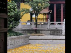 -苏州上方山国家森林公园