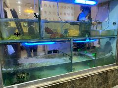 水产区-凤城礼记鱼翅海鲜酒家(新马路总店)
