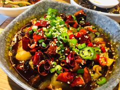 跳跳蛙-付小姐在成都(川沙店)