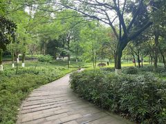-重庆彩云湖湿地公园