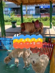 -萌宠亲子动物乐园(槐房万达店)