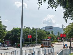 -风云岭森林公园