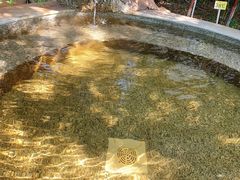 -金穗园温泉酒店