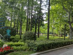 -徐家汇源景区-衡山公园