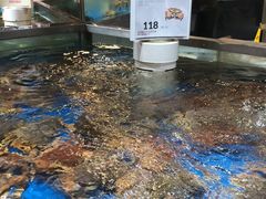 水产区-盒马鲜生(杭州运河上街店)