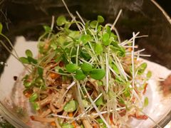 -渝半城经典川粤菜(重庆天地店)