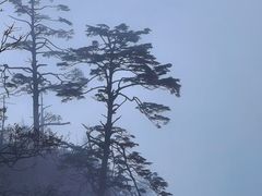 -峨眉山风景名胜区