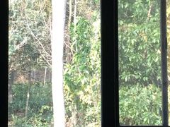 iphone_upload_pic-深圳麒麟山庄