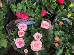 -桂林市花鸟市场