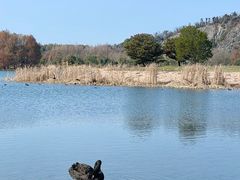 -上海辰山植物园