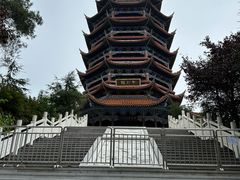 -铁山坪森林公园