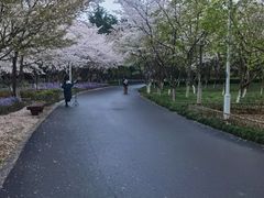 -白塘生态植物园