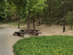 -元大都城垣遗址公园