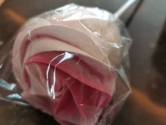 -上海佘山世茂艾美酒店