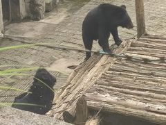 -黔灵山公园