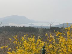 -凤鸣阁餐厅（凤山温泉宴宾楼）(昌平镇店)
