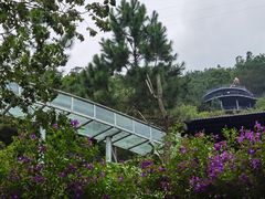 -广东天露山旅游度假区