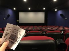-大地影院(上海南汇店)