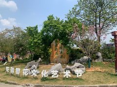 -天适樱花悠乐园
