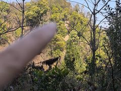 -桃花岭景区