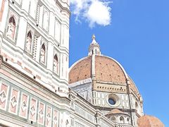 -圣母百花大教堂穹顶