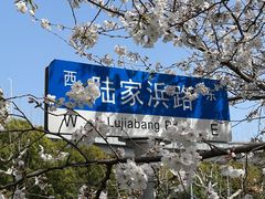 -陆家浜路(地铁站)