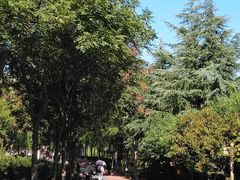 -大兴滨河森林公园