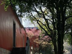 -乌山风景区