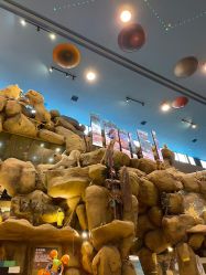 -卡通尼·Safari非洲探索乐园·生日会(金桥国际商业广场店)