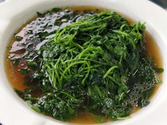 时令野菜-梦缘水乡·湖景餐厅