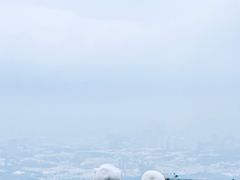 -紫金山山顶公园