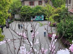 -星巴克臻选(思南公馆店)