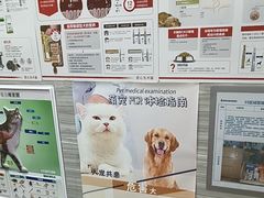 -瑞派名望志远动物医院·猫科·內科·异宠专科(直港大道店)