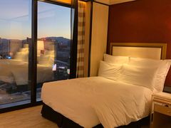 -拉斯维加斯永利酒店