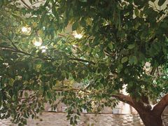 -永安鱼庄·镇江菜(丁卯店)