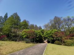 -上海滨江森林公园