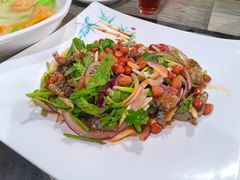 -石岐乳鸽村(南海第三分店)