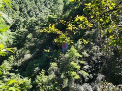 -苍山感通索道