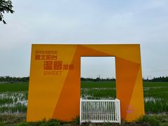 -嘉北郊野公园