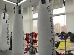 -EFL巴西柔术·综合格斗·泰拳·少儿体能训练(虹桥德必馆)