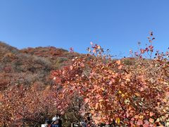 -周口店坡峰岭风景区
