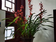 -成都杜甫草堂博物馆