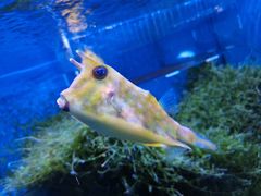 -多彩贵州城极地海洋世界