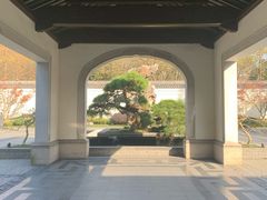 -杭州西子湖四季酒店·金沙厅