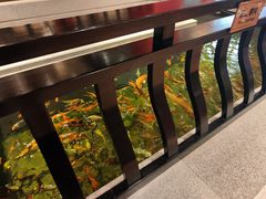 -龙悦湾酒家·八阵鱼生·渔人码头店