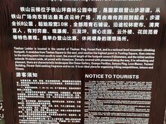 -铁山坪森林公园