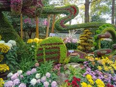 -杭州植物园