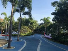 -宝安西湾红树林湿地公园